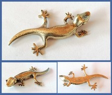 Messing Eidechse Echse Gecko
