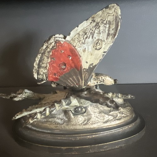 Schmetterling bronze - schmetterling, o
